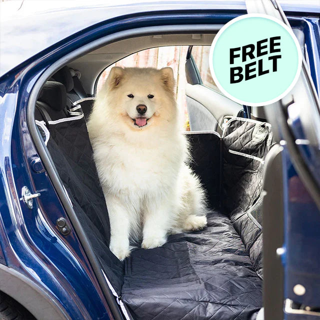 Luxury Hard-Bottom Dog Car Seat Cover β The Ultimate in Comfort, Style & Protection
