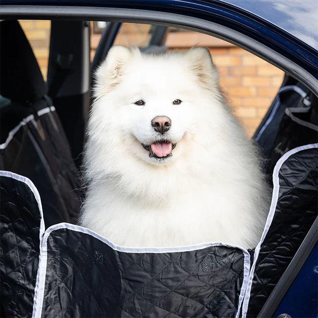 Luxury Hard-Bottom Dog Car Seat Cover – The Ultimate in Comfort, Style & Protection