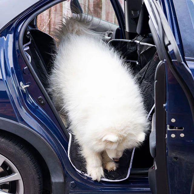 Luxury Hard-Bottom Dog Car Seat Cover – The Ultimate in Comfort, Style & Protection