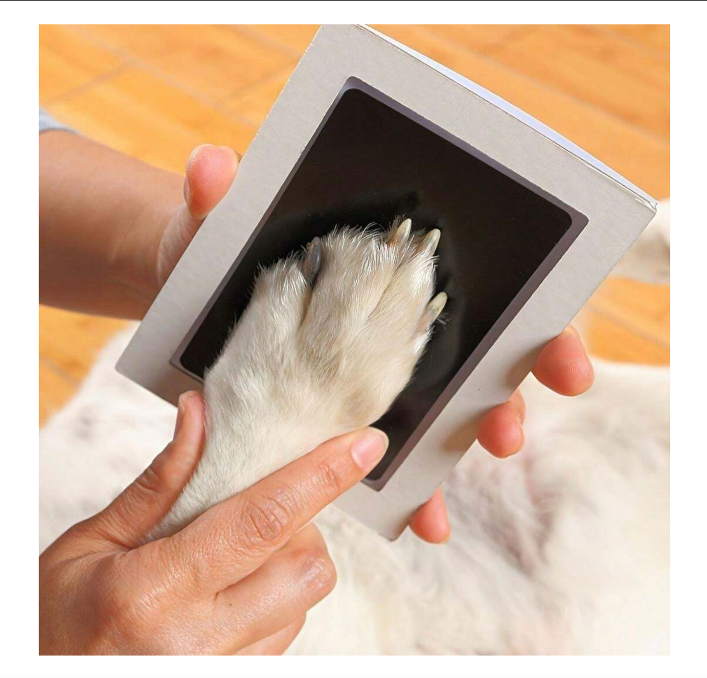 Pet Paw Print Kit – Ink Pad & Imprint Cards for Keepsakes
